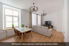 Spacious 1-bedroom apartment in the heart of Old Town